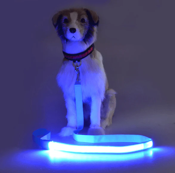 Hundkoppel med led-ljus - Bild 2