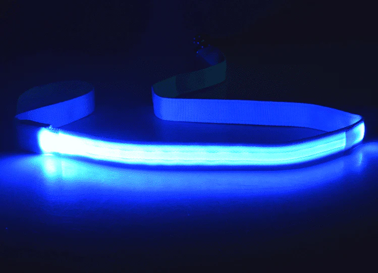Hundkoppel med led-ljus - Bild 3