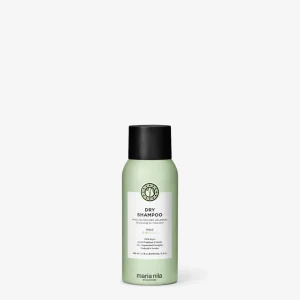 Dry Shampoo Travel