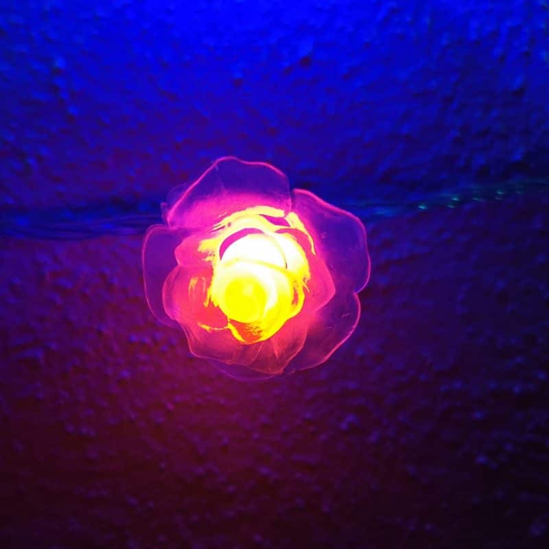LED-ljuskedja med blommor 20 st Transparent - Multicolor w / flash (3.5 meter) - Bild 3