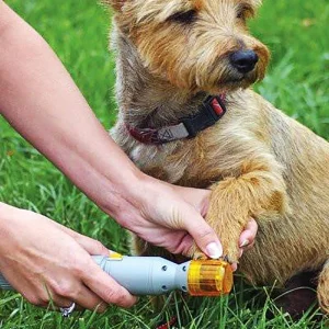Elektrisk klofil från Pedi Paws